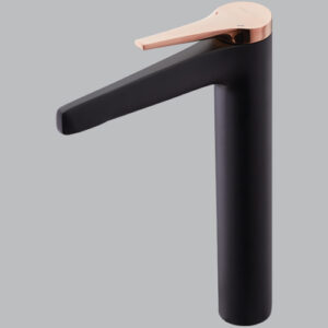 Basin Mixer - Tall Body (Matt Black + Rose Gold) AQUANT