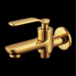 Brass 2-Way Bib Tap (Venetian Gold) AQUANT